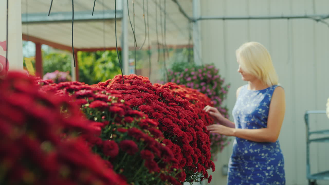 Donna che sceglie i fiori in serra