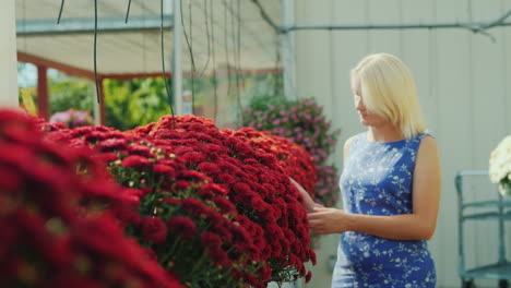 mujer eligiendo flores en invernadero