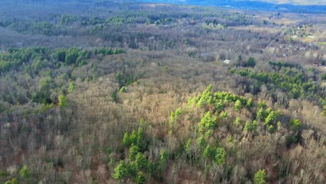 drone-flying-over-trees-then-panning-up-to-reveal-a-vast-mountain-valley-with-a-mountain-range-in-the-distance