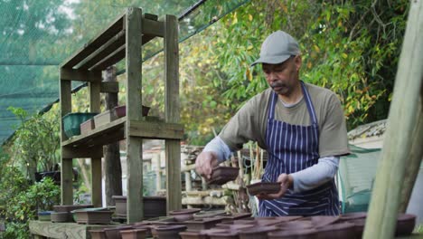 Afroamerikanischer-Männlicher-Gärtner,-Der-Töpfe-Im-Gartencenter-Arrangiert