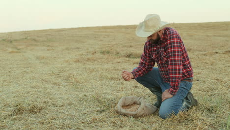 handsome caucasian farmer taking out a handful of grain from a sack and pouring it