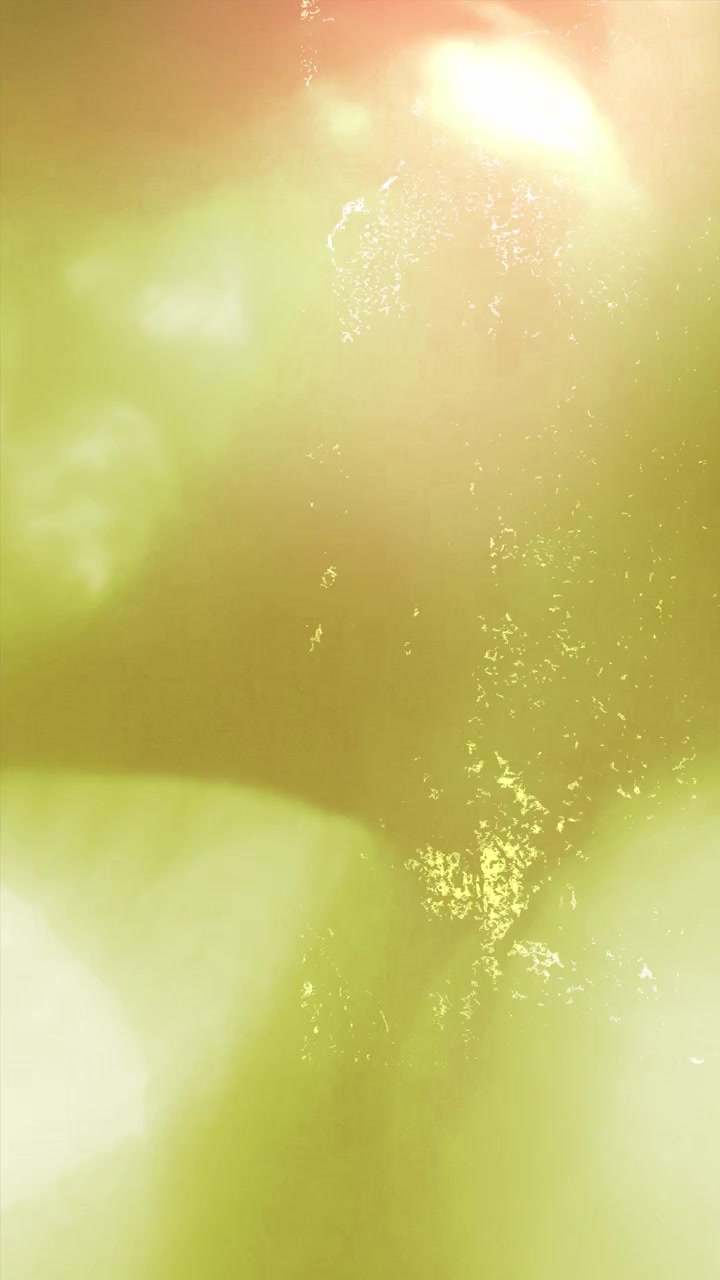 Abstract Light Leaks and Film Grain Overlay