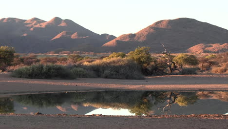 Beautiful-view-of-a-southern-kalahari-landscape-with-a-waterhole