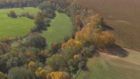 Der-Fluss-Schlängelt-Sich-An-Einem-Sonnigen-Herbsttag-Zwischen-Den-Bäumen-2