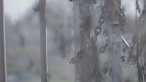 Close-up-of-a-rusted-chain-and-lock-on-a-fence-on-an-abandoned-industrial-area-with-plants-in-the-foreground-out-of-focus-LOG