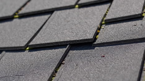 close-up view of gray roofing tiles