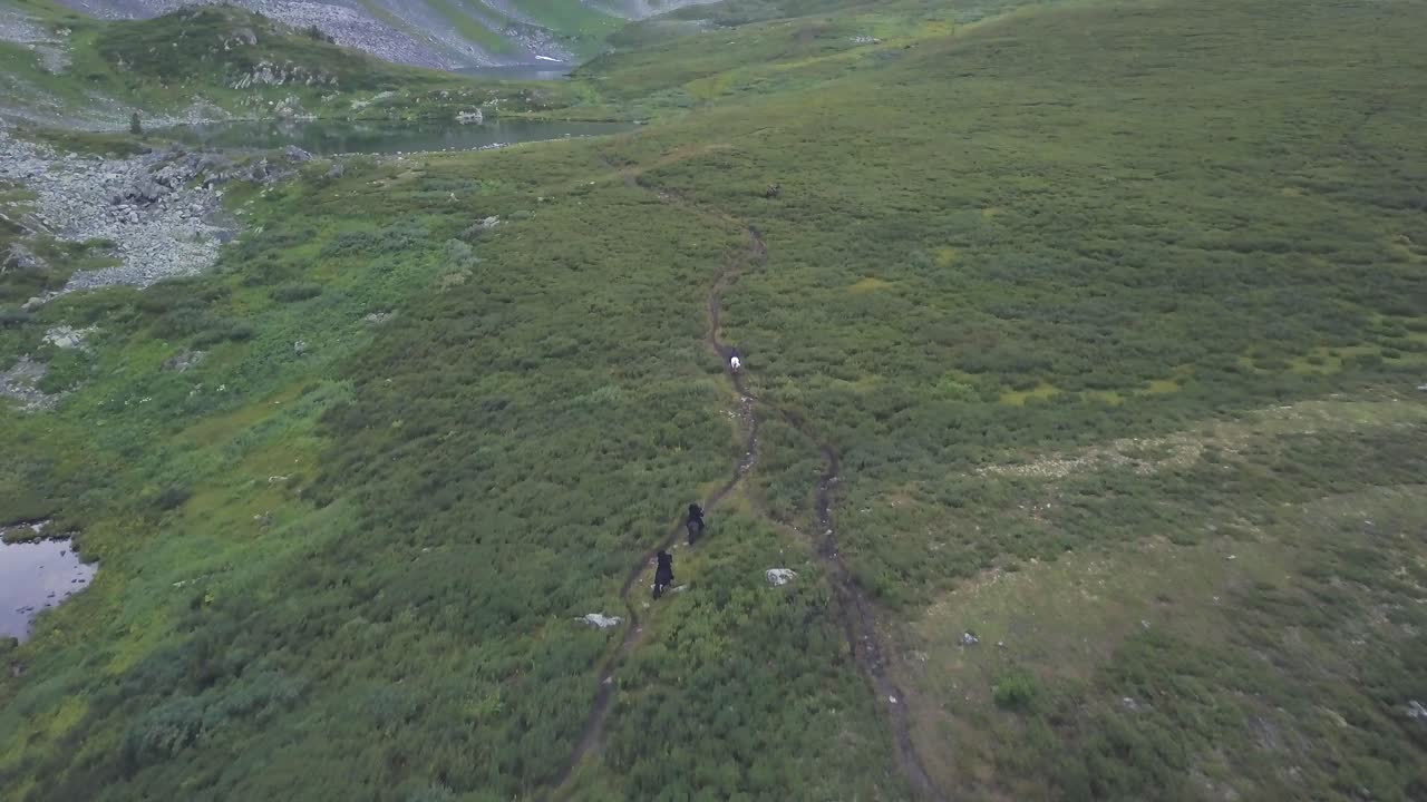 sendero de montaña de alta altitud con excursionistas