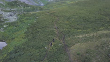 high-altitude mountain trail with hikers