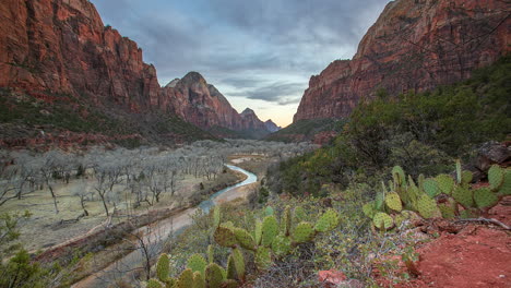 Canyons-Along-The-Trails-In-Middle-Emerald-Pools-Of-Zion-National-Park-In-Utah,-USA