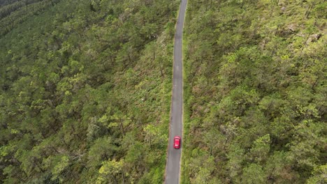 Seguimiento-Aereo-De-Un-Coche-Rojo-Cruzando-Un-Bosque-De-Eucaliptos-En-Galicia