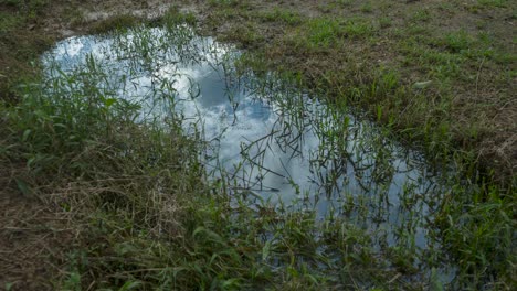 Bewegende-Wolkenreflexion-Auf-Kleinem-Wasserteich