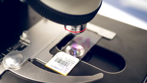 cierre a un científico usando un microscopio en un portaobjetos médico con células cancerosas humanas en un laboratorio de investigación médica