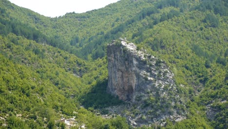 albania, lake koman, view of the wooded shore and a large rock