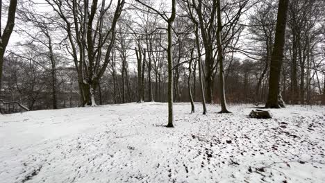 Schneit-Draußen-Im-Schwedischen-Wald