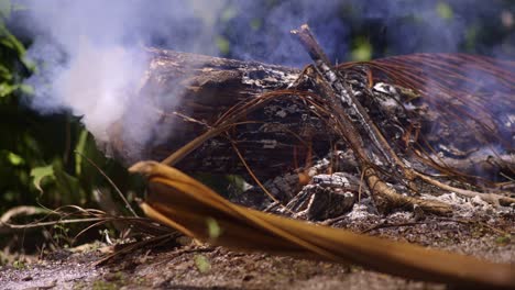 close-up of a burning log with smoke