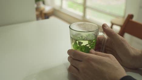 man holding a glass of hot mint tea on a table in cozy apartment with garden