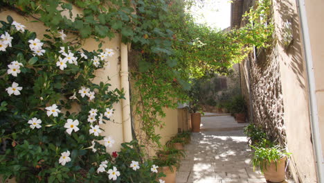 Alte-Blumige-Straßen-In-Gassin,-Französisches-Dorf,-Vegetation-An-Der-Fassade,-Sonneneruption