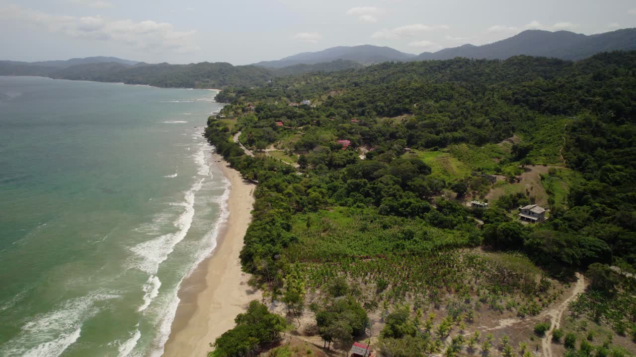 The coastline at la sabana, la guaira, with lush greenery and beach, aerial view