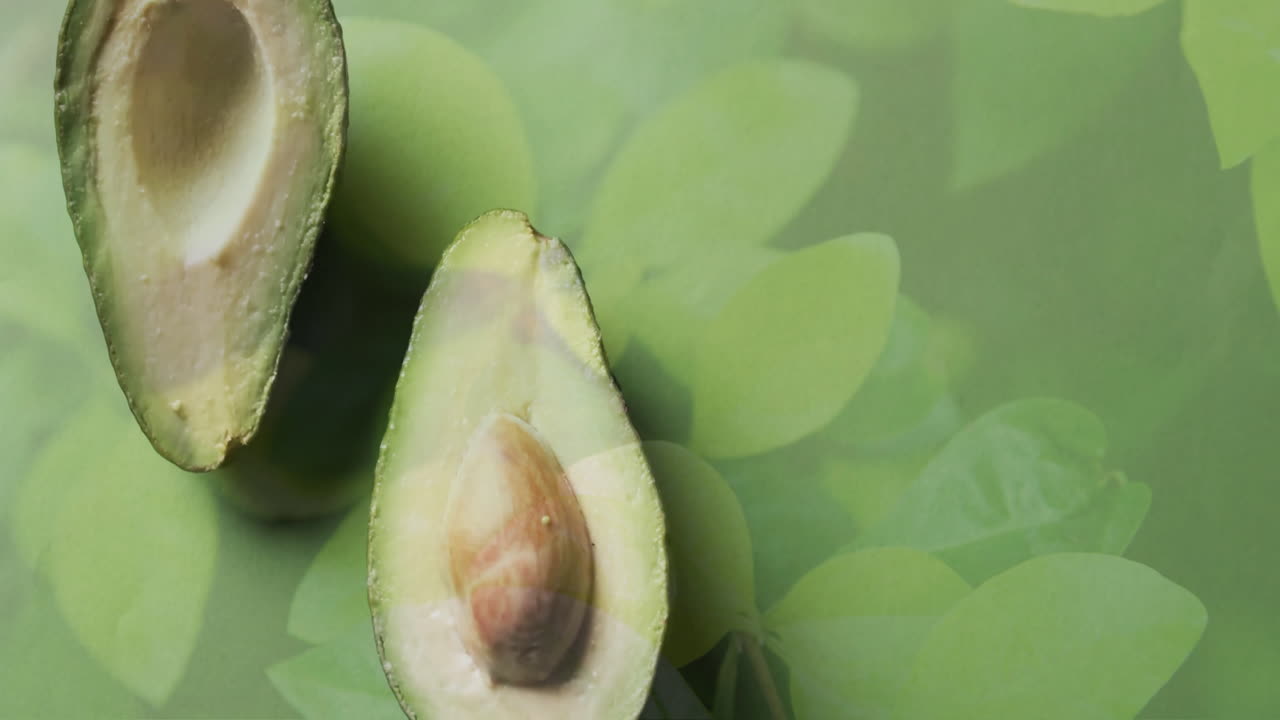 Composizione di avocado tagliati a metà e foglie su sfondo verde