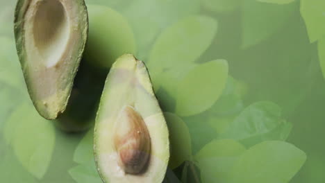 composición de aguacates cortados por la mitad y hojas sobre fondo verde