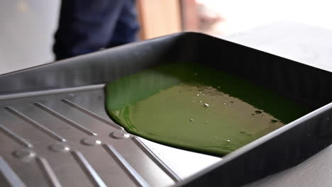 Close-Up-Of-Green-Paint-In-A-Plastic-Paint-Tray-With-Cropped-Image-Of-A-Person-Behind