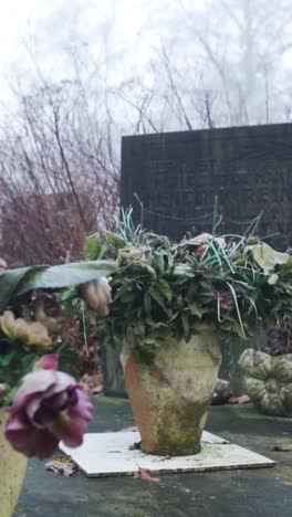 flowers on a cemetery grave