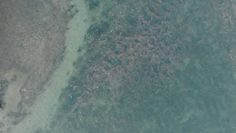 high altitude top down descending drone shot of polluted water filled with trash floating over dead coral reef in the turqouise tropical water of bali indonesia