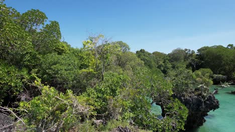 Drone-Casi-Aplastando-En-Una-Barrera-De-Coral