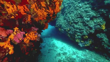 FPV-De-Buzo-Nadando-Bajo-El-Agua-En-El-Mar-Entre-Un-Arrecife-De-Coral