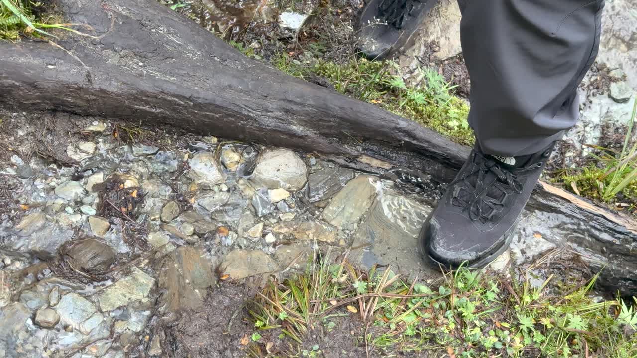 Close-up of hiking boots crossing muddy forest trail with exposed roots, natural daylight, handheld camera