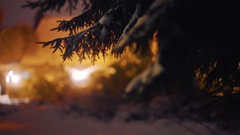 stunning close us of pine tree needles with white snow, winter season christmas concept