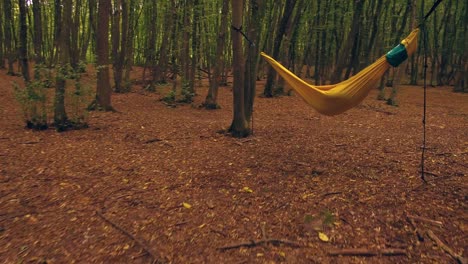 Zooming-into-a-hammock-in-the-woods---glide-cam