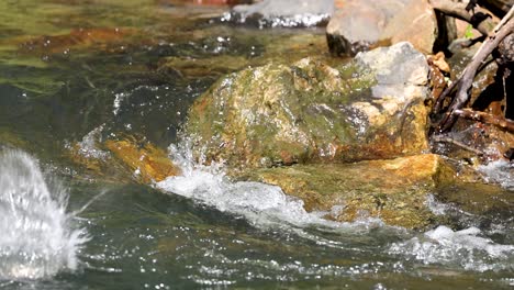 water splashes against mossy rocks in sunlit forest stream, steady camera, natural daylight