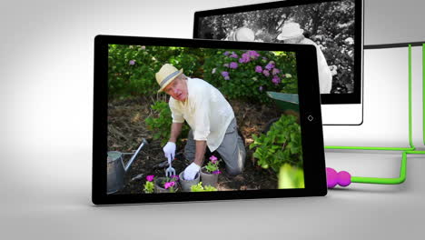 Retired-couple-gardening-