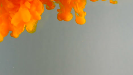ink in water. colour orange glitter paint reacting in water creating abstract cloud formations.can be used as transitions,added to modern grunge projects,art backgrounds, anything with creative twist