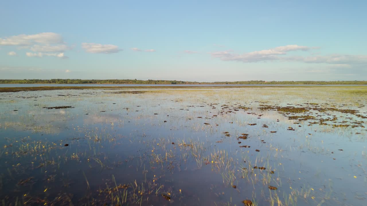 Vast flooded plain with scattered vegetation reaching far toward distant tree line