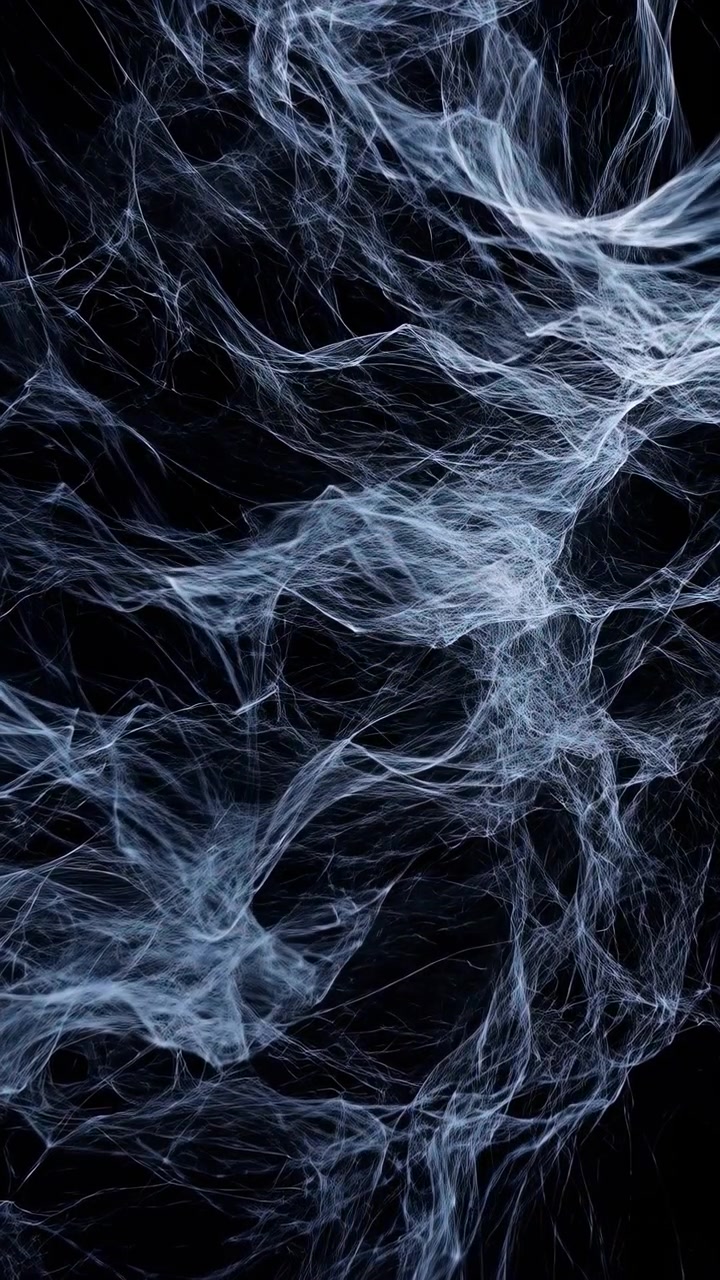 Fini fili traslucidi ondeggiano e si arricciano nello spazio scuro mentre fili luminosi e aggrovigliati diventano più densi durante la sequenza, creando una delicata texture a rete, un bagliore soffuso e una profondità stratificata.