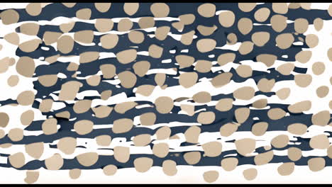 animation of pink spots and purple lines on white background