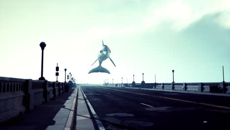 flying dolphin over a bridge