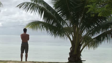 stock footage a tropical island