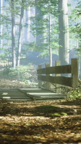 sendero de bosque brumoso con puente de madera