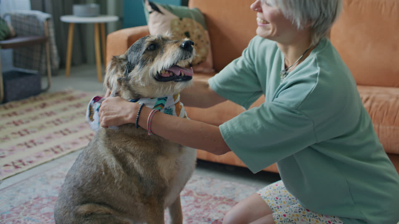 Cheerful Woman Putting Colorful Bandana on Dog and Petting Him at Home