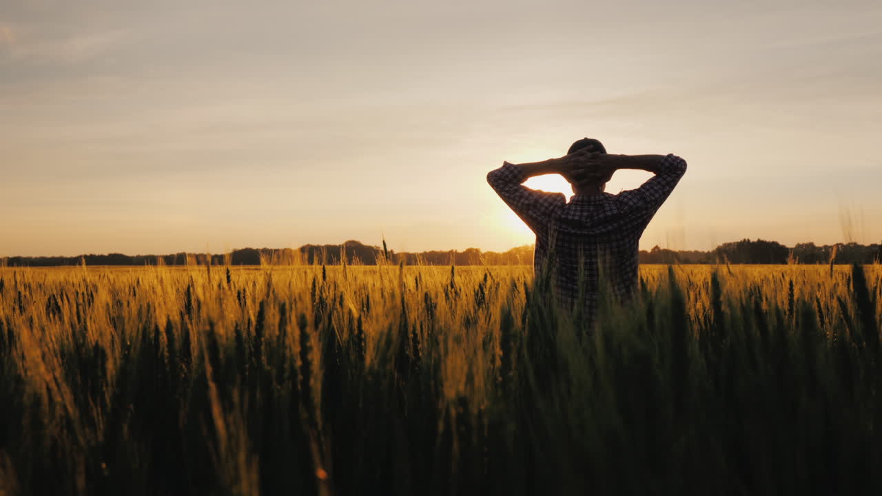 una silueta de un granjero parado en un campo de trigo está admirando una hermosa puesta de sol sobre su posesión