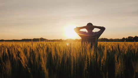 Eine-Silhouette-Eines-Bauern,-Der-Auf-Einem-Weizenfeld-Steht,-Bewundert-Einen-Wunderschönen-Sonnenuntergang-über-Seinen-Besitztümern
