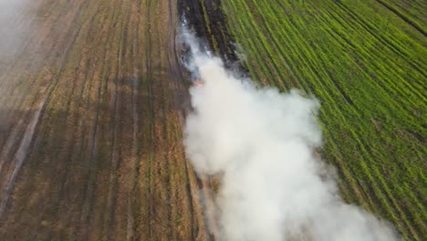 aerial footage sliding to the left of a row of grass burning and creating white polluting smoke, grassland burning, pak pli, nakhon nayok, thailand