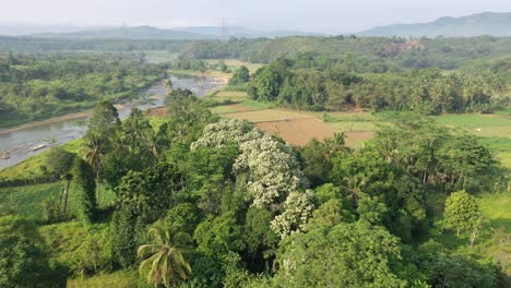 rural landscape with agricultural fields and river