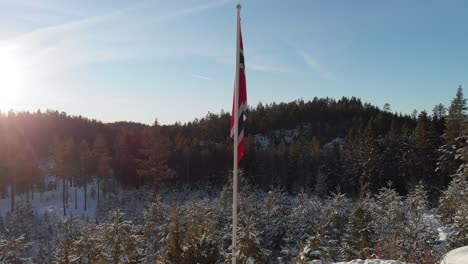 norwegian flag on pole standing on snow-covered mountain during winter in norway