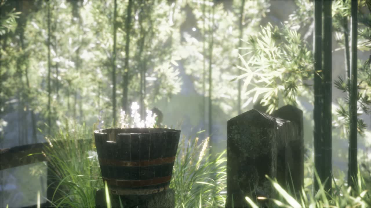 일본 대나무 숲 과 녹색 초원 잔디 와 자연 빛