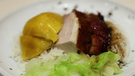 delicious meal with rice, duck, chicken, cabbage