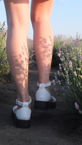 the young woman s legs scatter sand closeup camera follows her sea and beach at sunset the young woman s legs scatter sand closeup camera follows her sea and beach at sunset social media